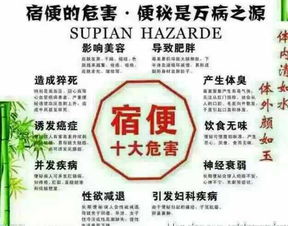 解析隨便果產業鏈 從深圳工廠到代理模式的全景透視